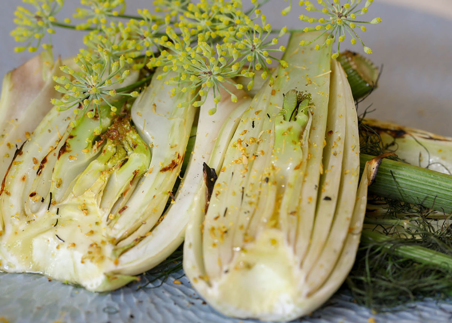 Grilled Fennel Bulb Salad Recipe Jordan Winery