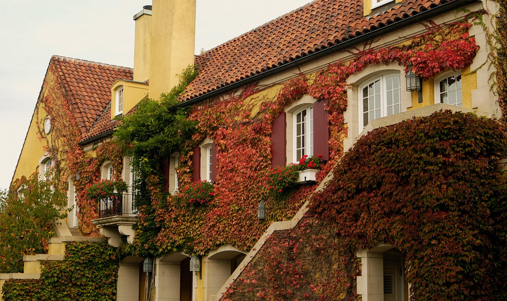 Fall Foliage Time Lapse Video | Jordan Winery Chateau Sonoma