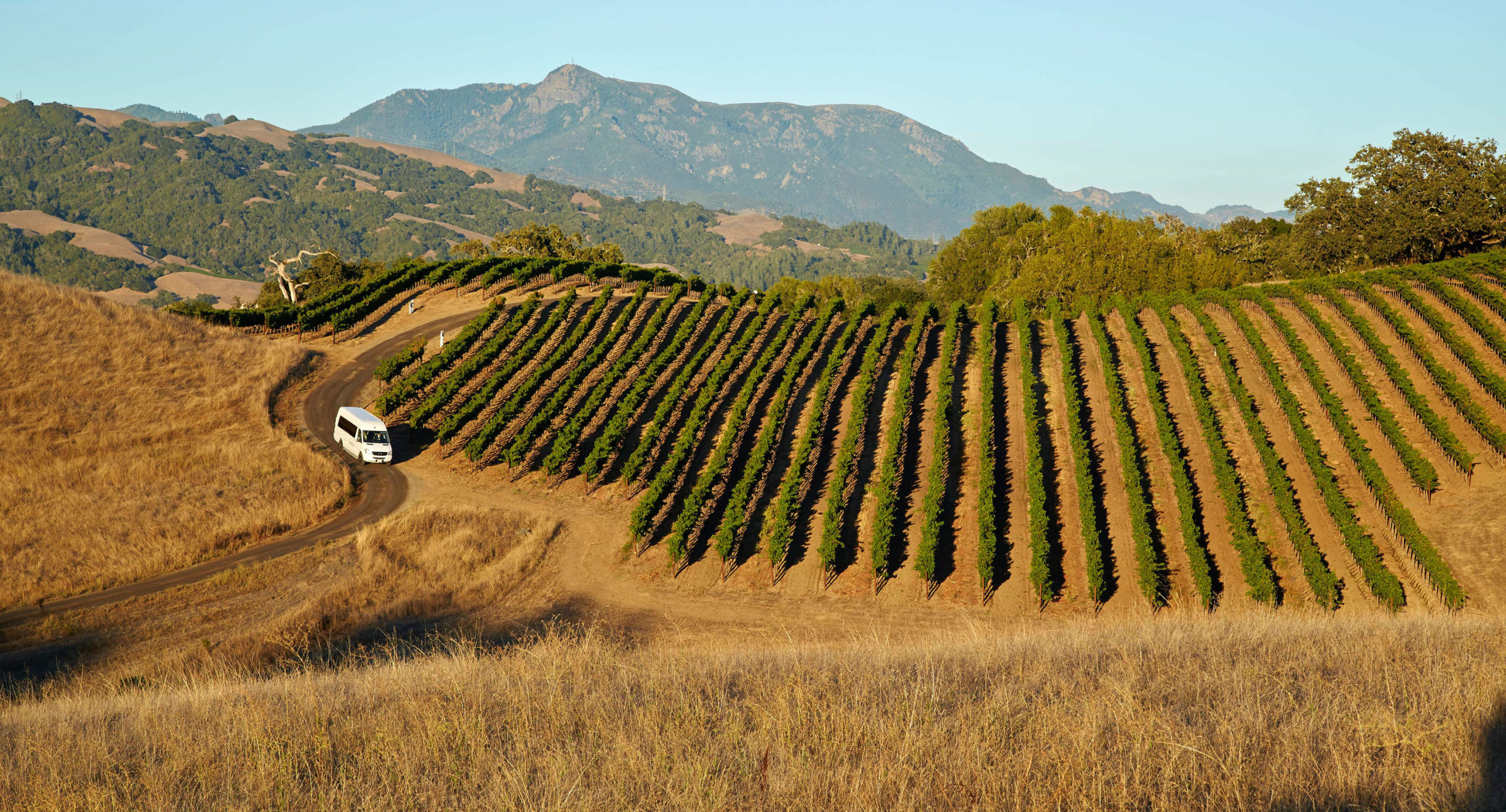 Healdsburg Estate Wine Tour & Tastings  Jordan Winery