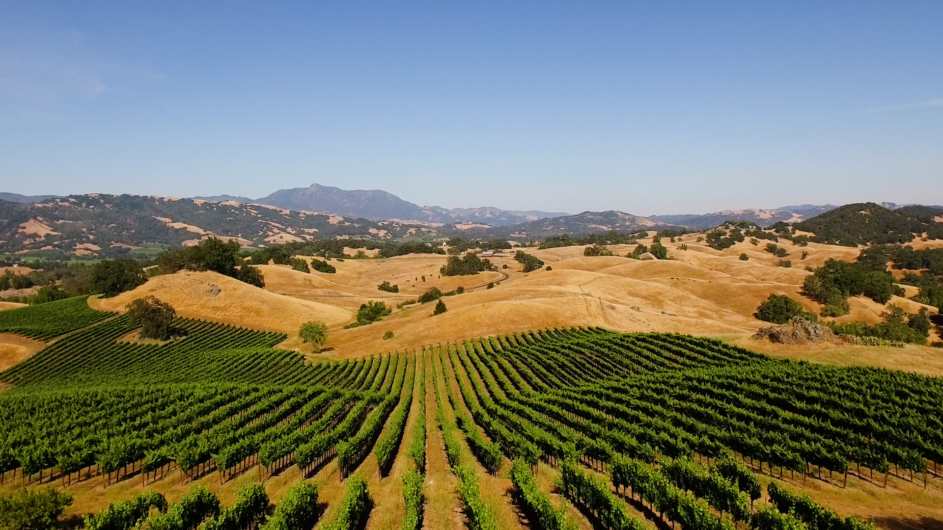 Our Sustainable Wine Philosophy | Jordan Vineyard & Winery